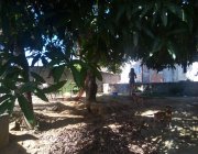 Terreno de 300m² no Centro da Serra
