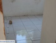 11ª CASA EM JARDIM CAMPO GRANDE - CARIACICA/ES