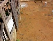 15ª CASA EM JARDIM CAMPO GRANDE - CARIACICA/ES
